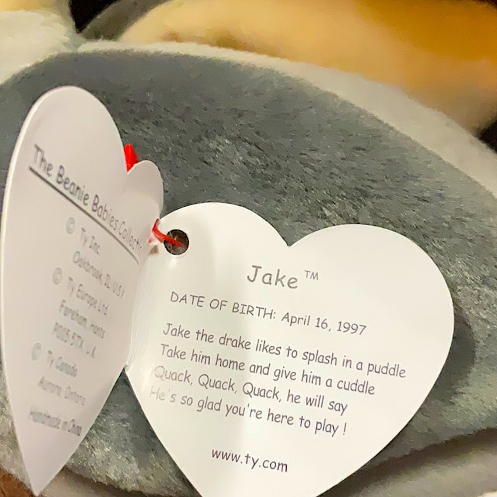 Retired 1997 “Jake” The Drake Duck Beanie Baby. Tush Tag Error:1998 Born 1997 - Picture 6 of 8